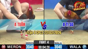 Trận 4 CPC2 23/03/2026 - Điều Đui Lao Bươi Chà Khét Về Ô Xỉu Tại Chỗ