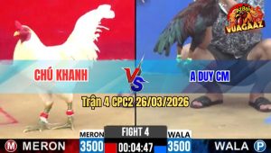 Trận 4 CPC2 26/03/2026 - Uá Chân Xanh Làm Anh Mất Ngủ Kéo Anh Em Về Bờ Nhẹ Nhàng