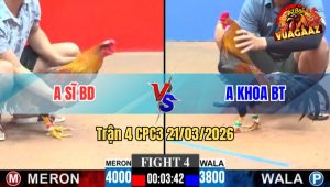 Trận 4 CPC3 21/03/2026 - Gà Đỏ Đá Chân Nào Cũng Đâm Hạ Xanh Ngọt Ngào