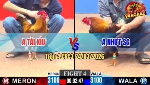 Trận 4 CPC3 24/03/2026 - Khét Ra Cựa Khủng Hạ Điều Một Cách Gọn Gàng