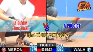 Trận 4 CPC3 28/03/2026 - Phúc Cần Thơ Chấp Ngông Gặp Điều Cọp Và Cái Kết