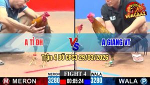 Trận 4 CPC3 29/03/2026 - Xám Nạp Siết Quá Tốt Đỏ Lọt Cựa Hết Cứu
