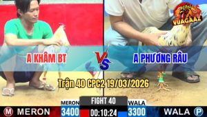 Tran 40 CPC2 19032026 Cu Bat Buom Khong Duoc Bi Buom Da Cho Chay La Mieng