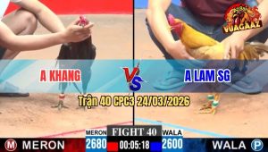 Trận 40 CPC3 24/03/2026 - Gà Xanh Hiệu Của Idol Ra Đá Đúng 3 Chân Là Có Kết Quả