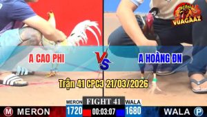 Trận 41 CPC3 21/03/2026 - Điều Giao Nạp Đúng 3 Chân Cọp Cao Phi Nằm Đống