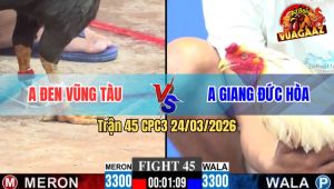 Trận 45 Bồ CPC3 24/3/2026 - Bướm Đá Điều Sùng Sình Điều Chịu Đựng Tới Khúc Cuối Ăn Ngược