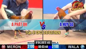 Trận 41 CPC3 24/03/2026 - Xanh Đá Chân Nào Là Đâm Chân Đó Đỏ Chỉ Biết Bật Ngửa