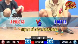 Trận 41 CPC3 28/03/2026 - Điều Mau Lẹ Đâm Bướm Lật Xe Trong Tay Nước Đầu
