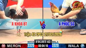 Trận 42 CPC3 21/03/2026 - Xanh Đi Bộ Cũng Có Chân Hạ Đỏ Lẹ Làng