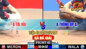 Trận 42 CPC3 22/03/2026 - Điều Gồng Phản Trong Trận Đấu Tưởng Thua Từ Đầu