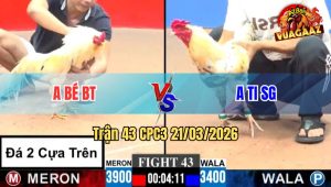 Trận 43 CPC3 21/03/2026 - Xanh Chấp Nửa Ký Có Chân Tiên Hạ Cọp Của Anh Bé