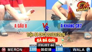 Trận 44 CPC3 22/03/2026 - Đỏ Đá Đúng 1 Chân Đâm Xanh Té Tại Chỗ