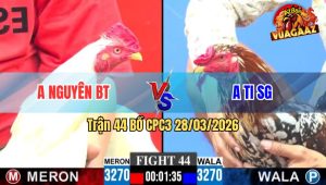 Trận 44 CPC3 28/03/2026 - Úa Nạp Vào Đá Đúng 3 Chân Hạ Gà Xanh Đẳng Cấp