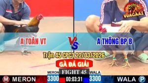 Trận 45 CPC3 22/03/2026 - Úa Đá Quá Đâm Gạt Dò Thành Công Đối Thủ