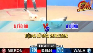 Trận 45 CPC3 28/03/2026 - Đỏ Đá Chân Lớn Tới Phút 90 Hạ Xanh Thành Công