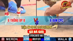 Trận 46 CPC3 22/03/2026 - Xanh Qúa Trâu Gồng Đá Đỏ Té Lấy 9 Điểm Đầu Tiên