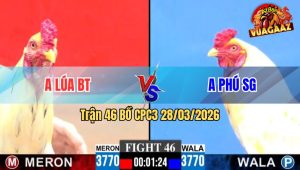 Trận 46 CPC3 28/03/2026 - 2 Con Nhây Nhưa Tới Phút 90 Về Sau Cả 2 Bỏ Mặt