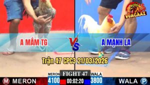 Trận 47 CPC3 21/03/2026 - Xanh Chấp 3 Chấm Hạ Đỏ Nhanh Nhẹn
