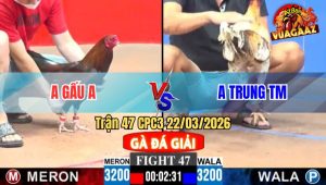 Trận 47 CPC3 22/03/2026 - Đỏ Đá Đam Như Phim 3 Chân Xạnh Rụng