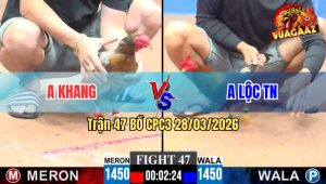 Trận 47 CPC3 28/03/2026 - Điều Đâm Như Chĩa Gà Mã Lại Tốc Chạy Như Thi Điền Kinh