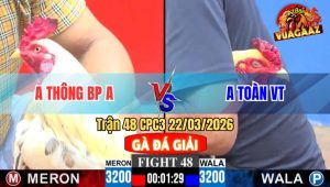 Trận 48 CPC3 22/03/2026 - Uá Canh Chặn Đá Cây Đỏ Gục Chết Hết Sửa