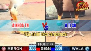 Trận 49 CPC3 28/03/2026 - Gà Xanh Đâm Như Sát Thủ Hạ Đỏ Nhanh Gọn