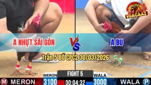 Trận 5 Bồ CPC2 30/3/2026 - Đỏ Đá Xanh Ói Xanh Đá Lọt Lại Chân Xỉu Trước