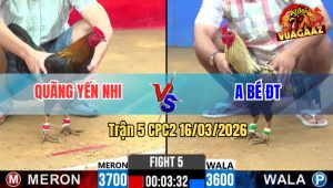 Trận 5 CPC2 16/03/2026 - Que Dí Bạc Buống Ra Chuối Siết Mấy Chân Bay Bồ