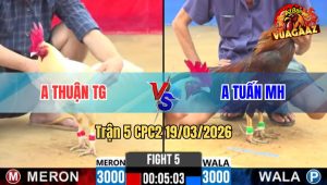 Tran 5 CPC2 19032026 Ua Da Khon Nhu Nguoi Dam Dieu Hu Het Sua