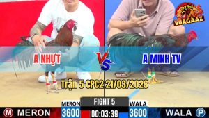 Tran 5 CPC2 21032026 Xanh Da Do An 6 Da Muon Hu Hoa May Man 1