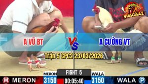 Trận 5 CPC2 23/03/2026 - Điều Đá Chân Cựa Khủng Khiếp Úa Ói Không Kịp Sửa