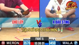 Trận 5 CPC2 27/03/2026 - Xám Đá Úa Cứng Mình Úa Đá lọt Xám Ói Chết Vừa Đủ Điểm Về