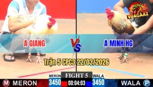 Trận 5 CPC3 22/03/2026 - Chuối Đá Úa Còn Ăn 2 Phút 90 Buông ra Chuối Xỉu Bất Ngờ