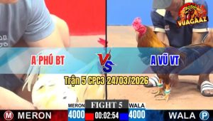 Trận 5 CPC3 24/03/2026 - Bướm Đâm Cựa Như Sam Xít Hạ Khét Tuyệt Đối