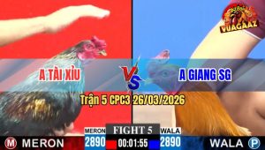 Trận 5 CPC3 26/03/2026 - Chuối Đá Hồi Đứt Hơi Phút 90 Điều Tỉnh Gà Ăn Ngược