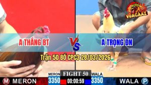 Trận 50 CPC3 28/03/2026 - Đỏ Lee Min Ho Đá Như Sâm Sét Hạ Xanh Gọn Gàng
