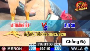 Trận 53 CPC3 28/03/2026 - Bướm Lì Lợm Chịu Cựa Tới Phút Cuối Đâm Điều Lật Xuồng