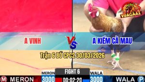 Trận 6 Bồ CPC2 30/3/2026 - Điều Điềm Tĩnh Canh Chặn Đâm Cú Cây Té Nhẹ Nhàng