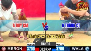 Tran 6 CPC2 19032026 Dieu Da Khet Hu Het Hu Het Xong Bo O Bat Ngo