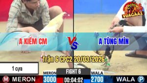 Tran 6 CPC2 20032026 Do Chap Ngong Gap Hang Nhap Bi Da Hu Hinh 1