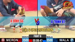 Tran 6 CPC2 21032026 Chuoi Da Dung 3 Chan Dam Dieu Giay Chet Tai O 1