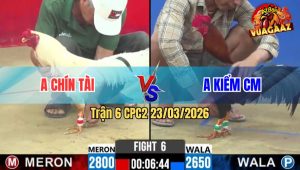 Trận 6 CPC2 23/03/2026 - Đỏ Đá Cây Dứt Điểm Idol Nhanh Gọn