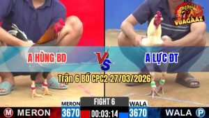 Trận 6 CPC2 27/03/2026 - Úa Đá Điều Sùng Sình Điều trâu Đá Lại Úa Té