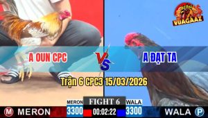 Trận 6 CPC3 15032026 - Camelo Đá Quá Đâm Que Cứng Mình Xỉu Hết Sửa (1)