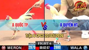 Trận 6 CPC3 22/03/2026 - Bướm Cọp Chủ Bồ Hà Tiên Đá Đâm Như Giang Hồ Kéo Lúa Thành Công