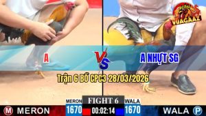 Trận 6 CPC3 28/03/2026 - Gà Xanh Đá Bo Lớn Tới Phút 90 Hạ Đỏ Về Sau