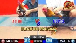 Trận 6 CPC3 29/03/2026 - Gà Xanh Đá Đâm Như Sát Thủ Buông Ra Đỏ Hết Đứng