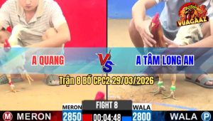 Trận 8 Bồ CPC2 29/3/2026 - Uá Ra Chân Camelo Lật Xe Hết Cứu