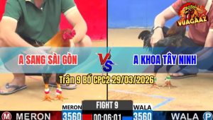 Trận 9 Bồ CPC3 29/3/2026 - Xanh Ra Chân Quyết Định Đỏ Nằm Biệt Rinh Ra