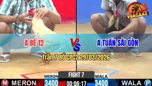 Trận 7 Bồ CPC2 29/3/2026 - Bướm Dí Ngông Chuối Đá 1 Chân Tiễn Vong
